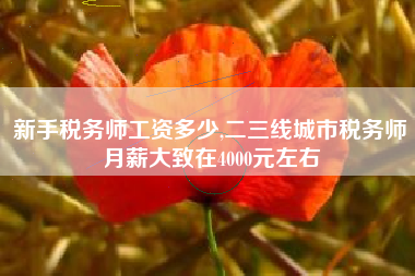 新手税务师工资多少,二三线城市税务师月薪大致在4000元左右