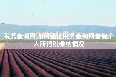 税务查询网,如何通过税务查询网查询个人所得税缴纳情况