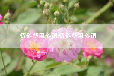 待摊费用摊销,待摊费用摊销