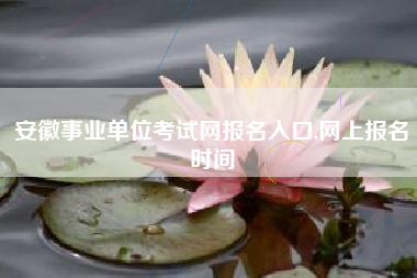 安徽事业单位考试网报名入口,网上报名时间