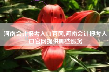 河南会计报考入口官网,河南会计报考入口官网提供哪些服务