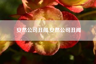 安然公司丑闻,安然公司丑闻