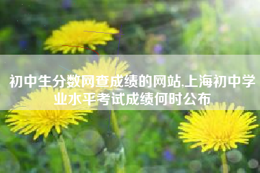 初中生分数网查成绩的网站,上海初中学业水平考试成绩何时公布