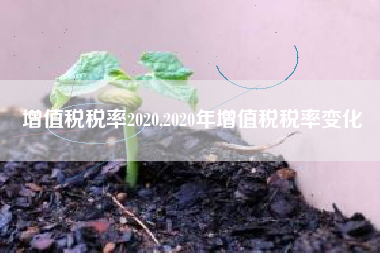 增值税税率2020,2020年增值税税率变化