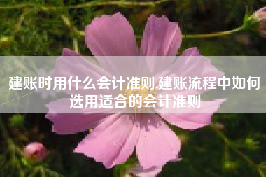 建账时用什么会计准则,建账流程中如何选用适合的会计准则
