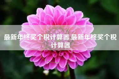 最新年终奖个税计算器,最新年终奖个税计算器