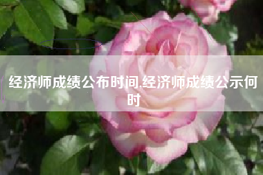 经济师成绩公布时间,经济师成绩公示何时