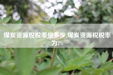煤炭资源税税率是多少,煤炭资源税税率为2%
