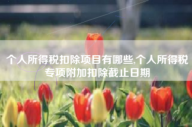 个人所得税扣除项目有哪些,个人所得税专项附加扣除截止日期
