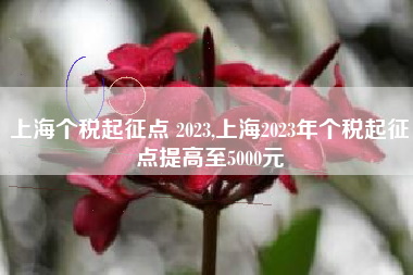 上海个税起征点 2023,上海2023年个税起征点提高至5000元