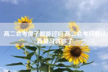 高二会考傻子都能过吗,高二会考只要认真复习就够了