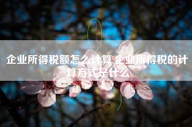 企业所得税额怎么计算,企业所得税的计算方式是什么