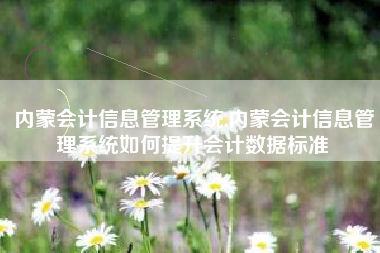 内蒙会计信息管理系统,内蒙会计信息管理系统如何提升会计数据标准