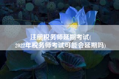 注册税务师延期考试(
2022年税务师考试可能会延期吗)