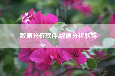 数据分析软件,数据分析软件