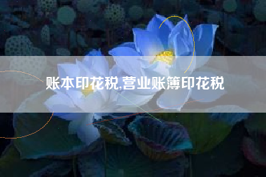账本印花税,营业账簿印花税