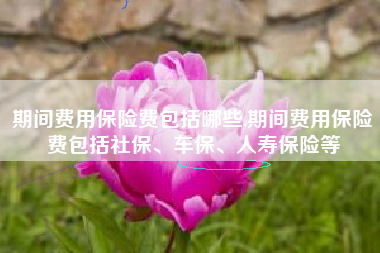 期间费用保险费包括哪些,期间费用保险费包括社保、车保、人寿保险等