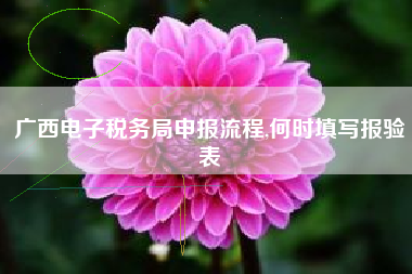 广西电子税务局申报流程,何时填写报验表