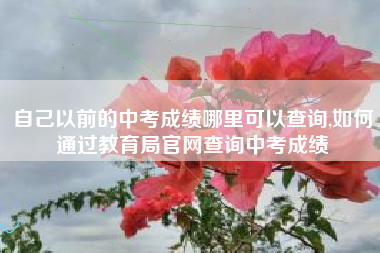 自己以前的中考成绩哪里可以查询,如何通过教育局官网查询中考成绩