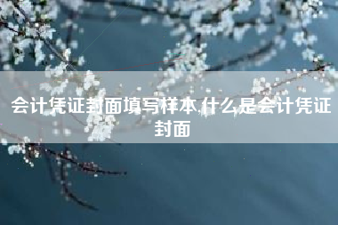 会计凭证封面填写样本,什么是会计凭证封面