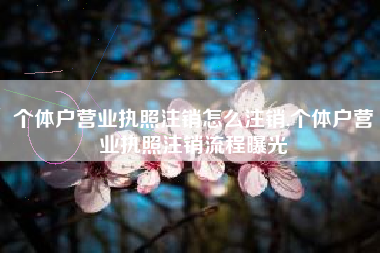 个体户营业执照注销怎么注销,个体户营业执照注销流程曝光