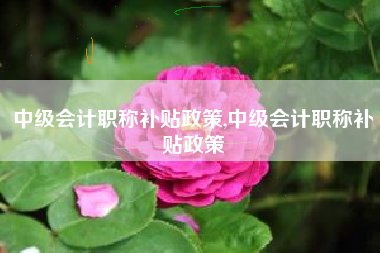 中级会计职称补贴政策,中级会计职称补贴政策