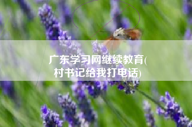 广东学习网继续教育(
村书记给我打电话)