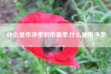 什么是市净率和市盈率,什么是市净率