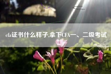 cfa证书什么样子,拿下CFA一、二级考试
