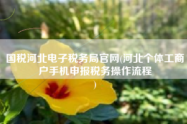 国税河北电子税务局官网(河北个体工商户手机申报税务操作流程
)