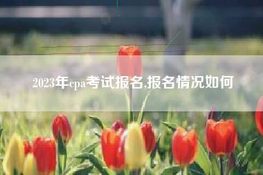 2023年cpa考试报名,报名情况如何