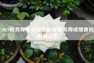 2021税务师考试成绩查询,税务师成绩查询时间公告