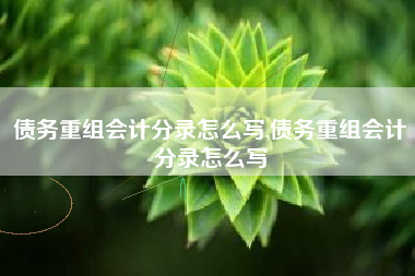 债务重组会计分录怎么写,债务重组会计分录怎么写