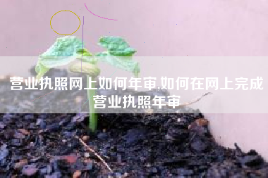 营业执照网上如何年审,如何在网上完成营业执照年审
