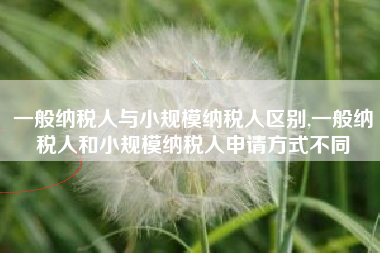 一般纳税人与小规模纳税人区别,一般纳税人和小规模纳税人申请方式不同
