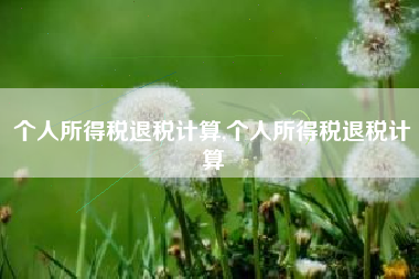 个人所得税退税计算,个人所得税退税计算