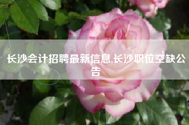 长沙会计招聘最新信息,长沙职位空缺公告