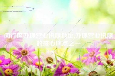 闵行区办理营业执照地址,办理营业执照的核心地点之一