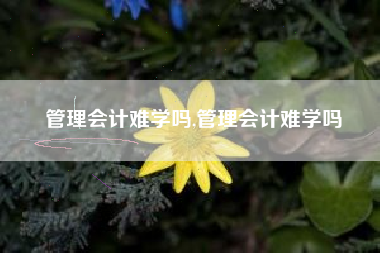 管理会计难学吗,管理会计难学吗