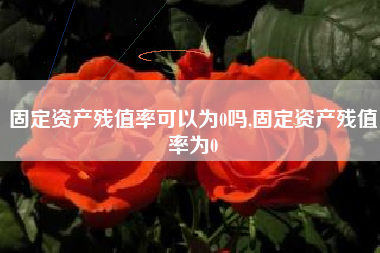 固定资产残值率可以为0吗,固定资产残值率为0