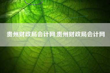 贵州财政局会计网,贵州财政局会计网