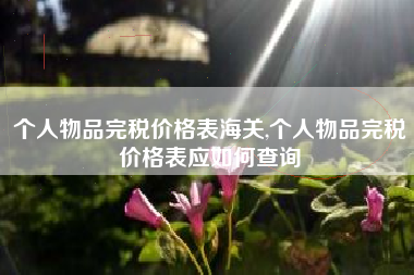 个人物品完税价格表海关,个人物品完税价格表应如何查询