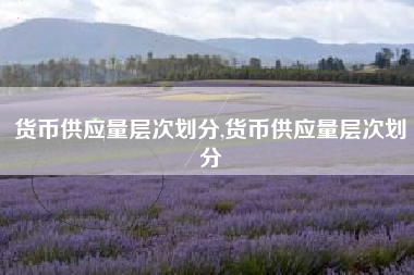 货币供应量层次划分,货币供应量层次划分