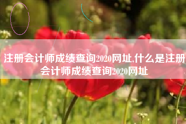 注册会计师成绩查询2020网址,什么是注册会计师成绩查询2020网址