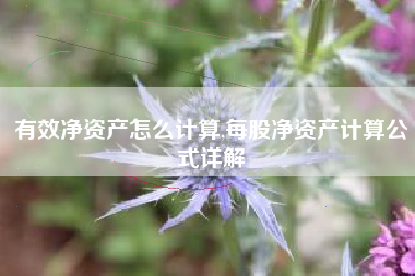 有效净资产怎么计算,每股净资产计算公式详解