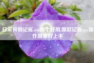 日常开销记账app哪个好用,哪款记账app操作简单好上手