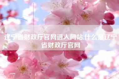 辽宁省财政厅官网进入网站,什么是辽宁省财政厅官网