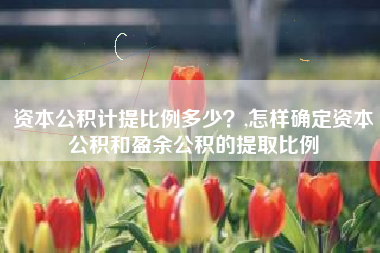 资本公积计提比例多少？,怎样确定资本公积和盈余公积的提取比例