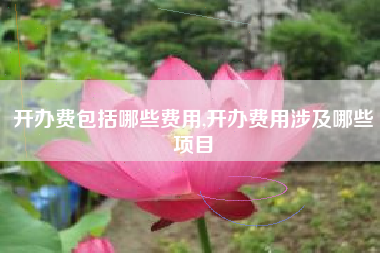 开办费包括哪些费用,开办费用涉及哪些项目