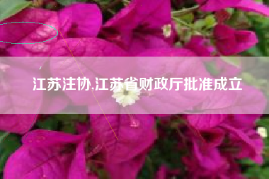 江苏注协,江苏省财政厅批准成立